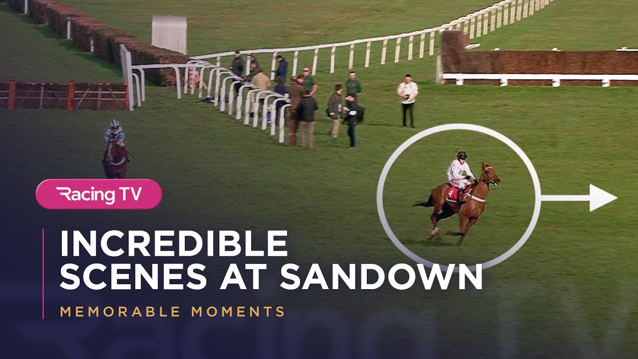 Have you ever seen anything like it!? Incredible scenes at Sandown as leader throws away certain win
