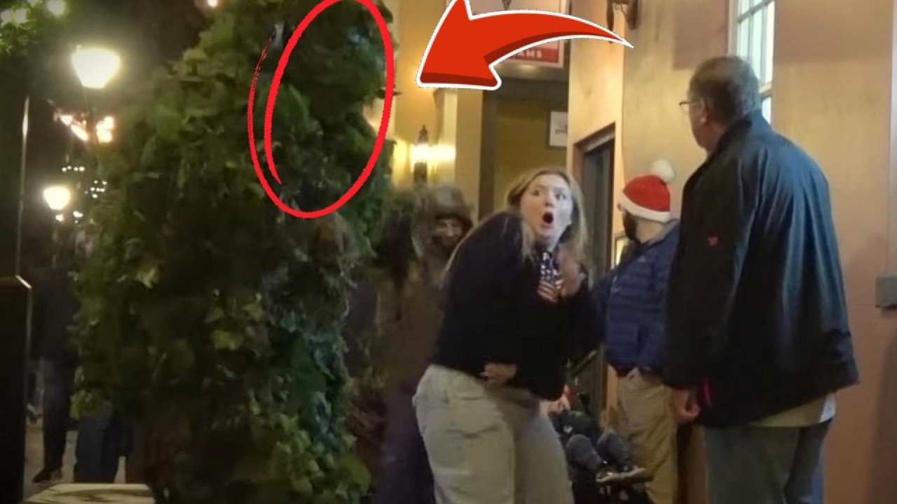 Unbelievable Reactions 😱 | This Left Everyone Speechless