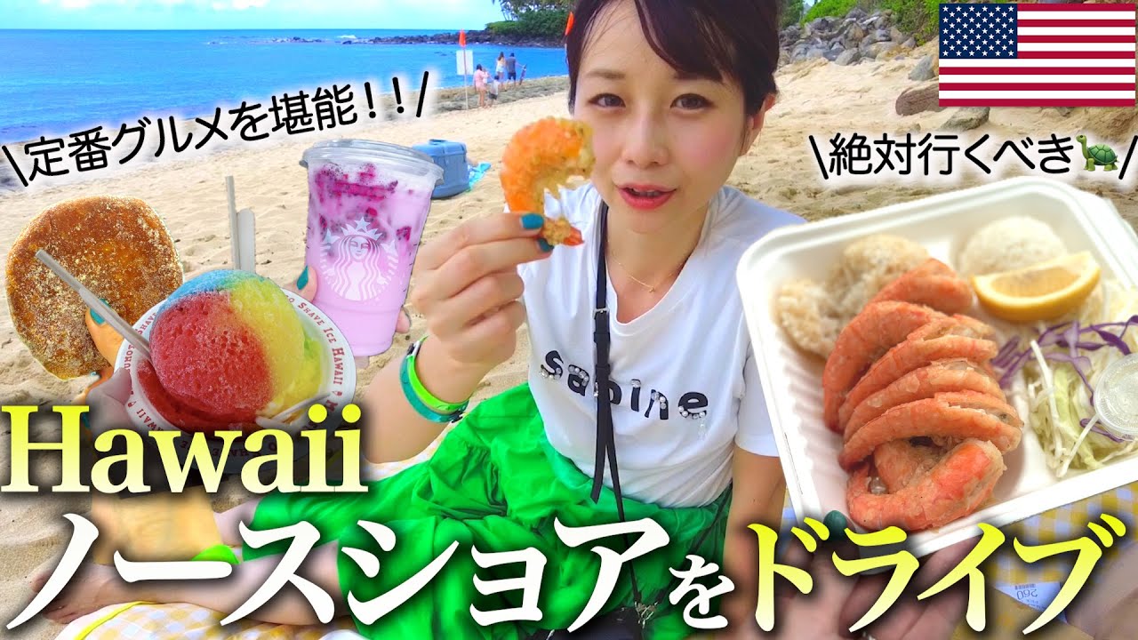 【ハワイvlog】ノースショアドライブで奇跡の出会い⁉️人気グルメから定番観光スポットをレンタカーで巡る旅