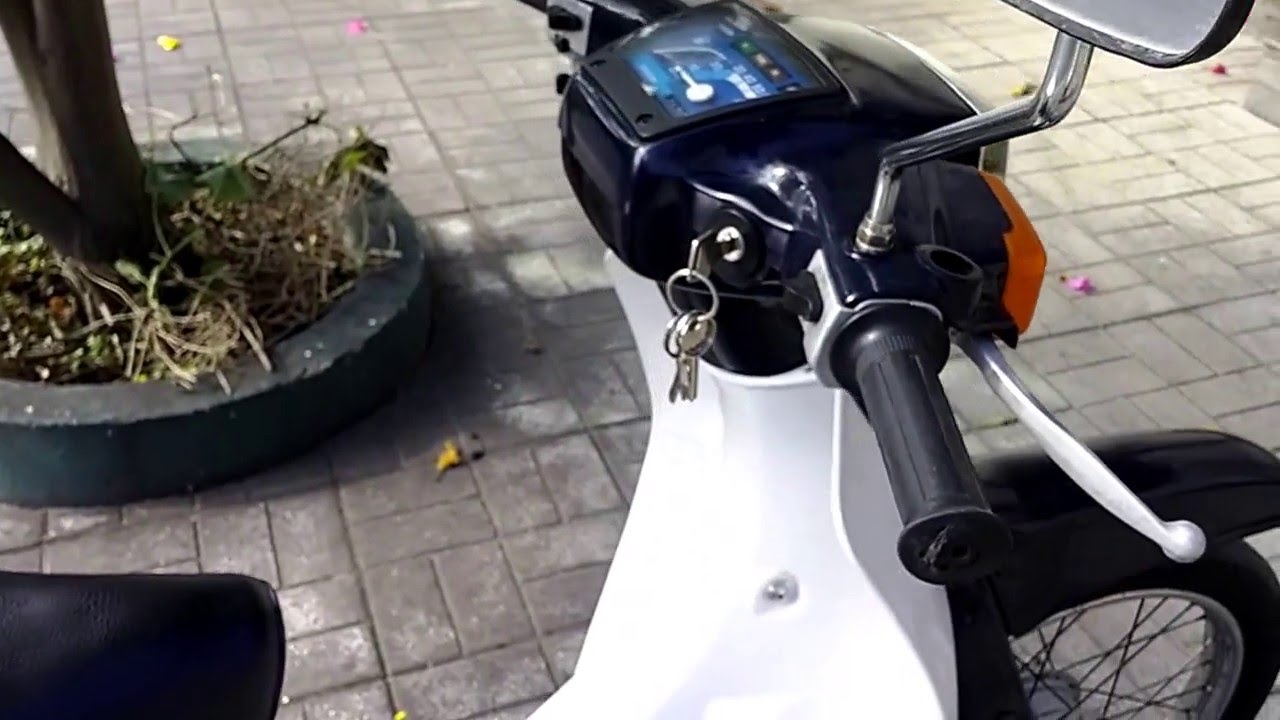 Suzuki Birdie 2-stroke 50cc