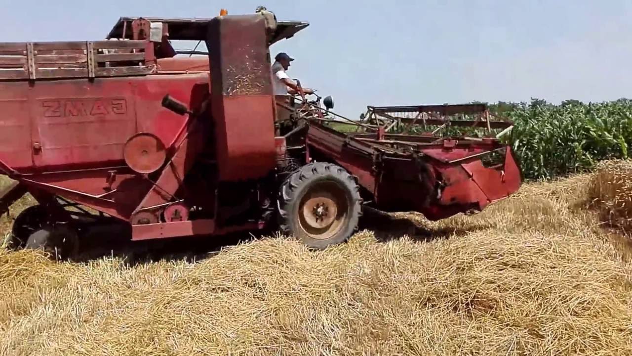Zmaj 780 i Ursus 355 (Žetva 2016 u psenici)