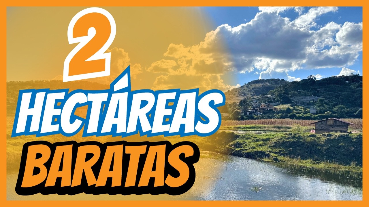 “🔥 ¡TERRENO GRANDE y BARATO! | 2 Hectáreas a PRECIO de MILPA 🌽”