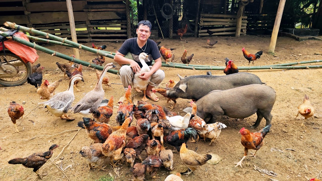 The current life of a young man after 3 years of leaving the city to return to the countryside (312)