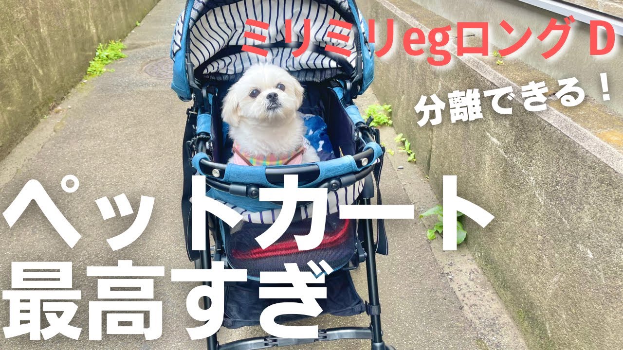 愛犬の分離型ペットカート買ったら最高でした | コムペット ミリミリEG ロング / マルチーズ×ペキニーズ
