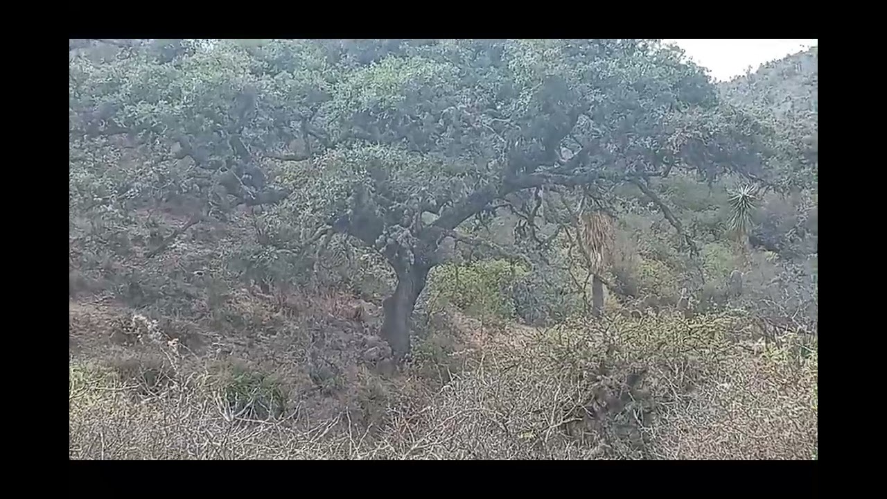Visitando el arroyo de las tunas, la joya y el tanque de los tildios. 