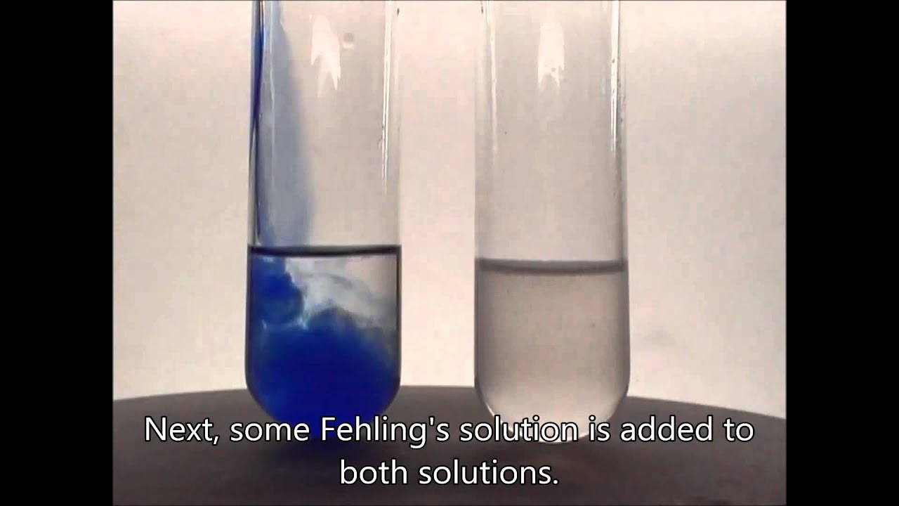 Chemistry experiment 33 - Fehling's test