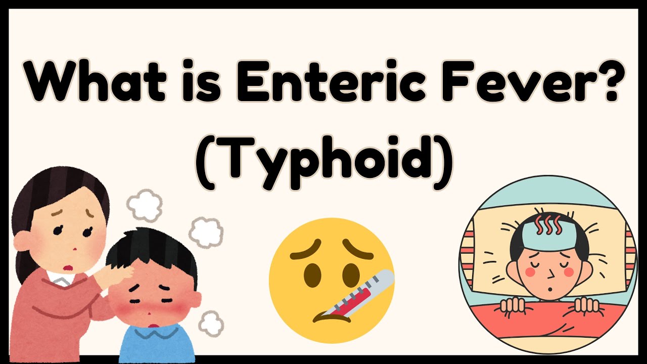 Enteric Fever (Typhoid Fever)