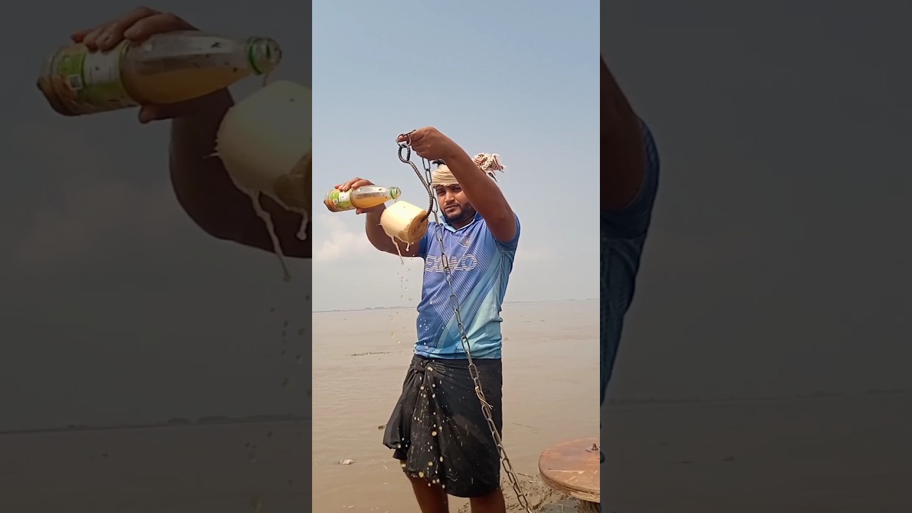 60KG River Hilsa Caught Using Secret Bait #bait #fishing #villagefishing #shorts