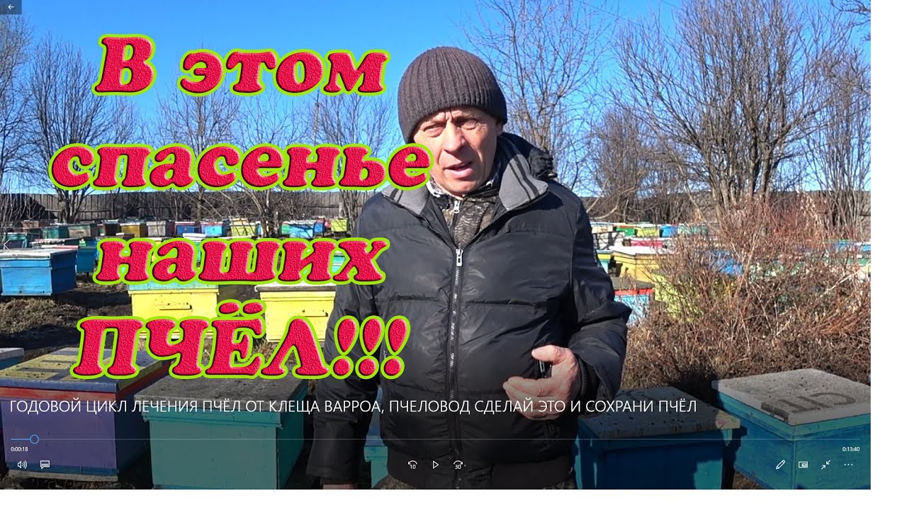 ГОДОВОЙ ЦИКЛ ЛЕЧЕНИЯ ПЧЁЛ ОТ КЛЕЩА ВАРРОА, ПЧЕЛОВОД СДЕЛАЙ ЭТО И СОХРАНИ ПЧЁЛ
