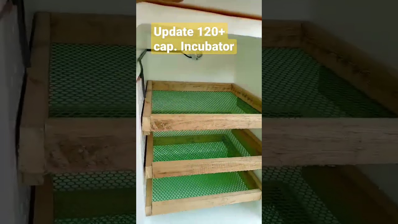 UPADTE: 120+ Semi Automatic Incubator.