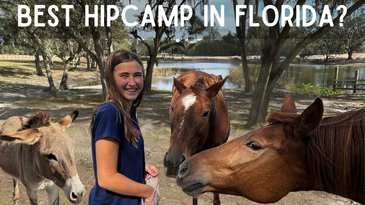 Our First Hipcamp  Experience - It was Amazing - Florida Camping