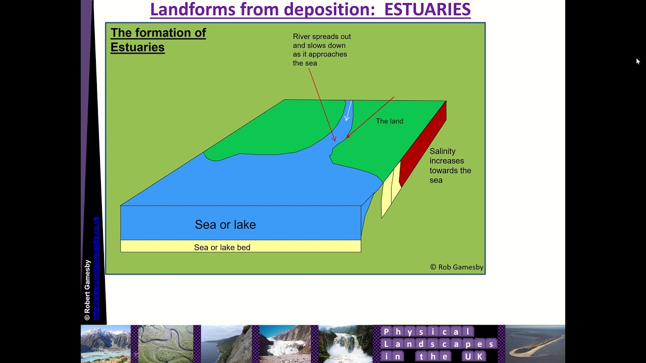 Floodplains Levees Estuaries Explainer