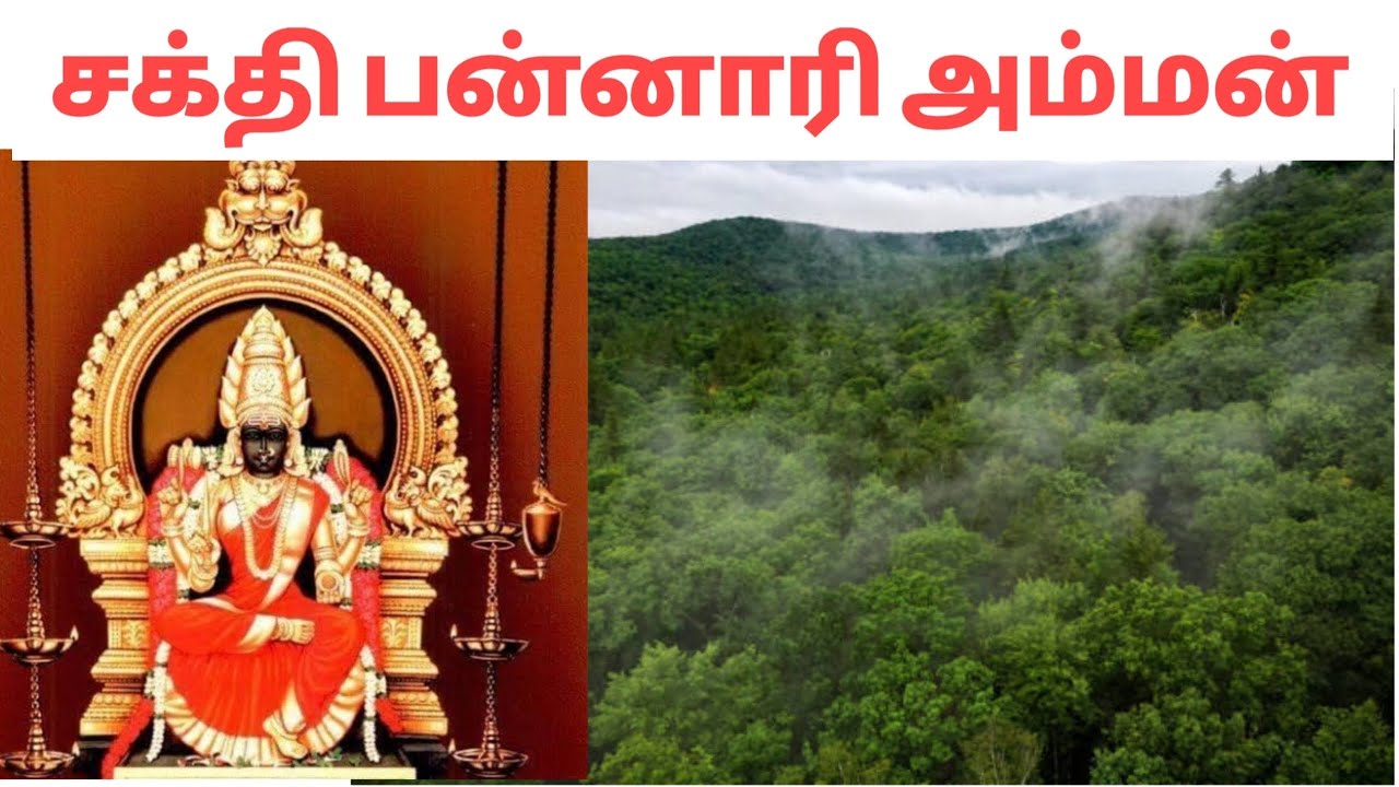 Bannari Amman temple sakthiyamangalam #amman #temple #trending #viralvideo