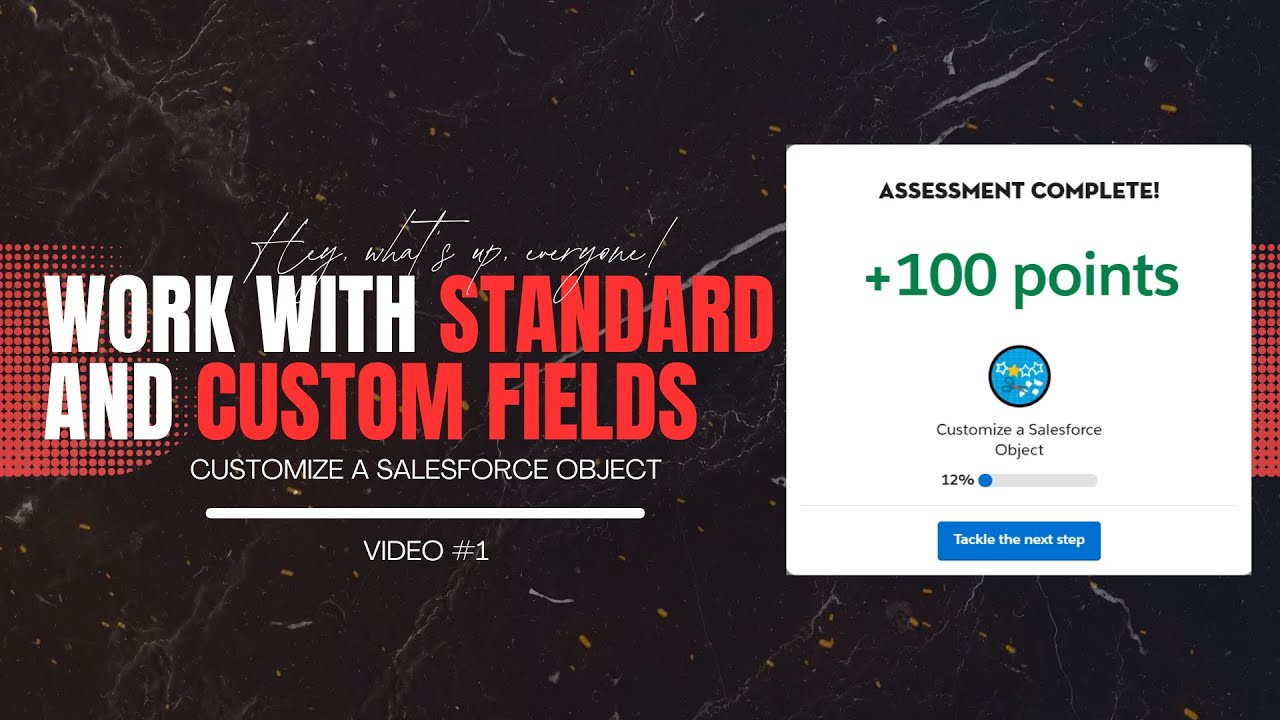 Work with Standard and Custom Fields | Customize a Salesforce Object Project Salesforce Trailhead