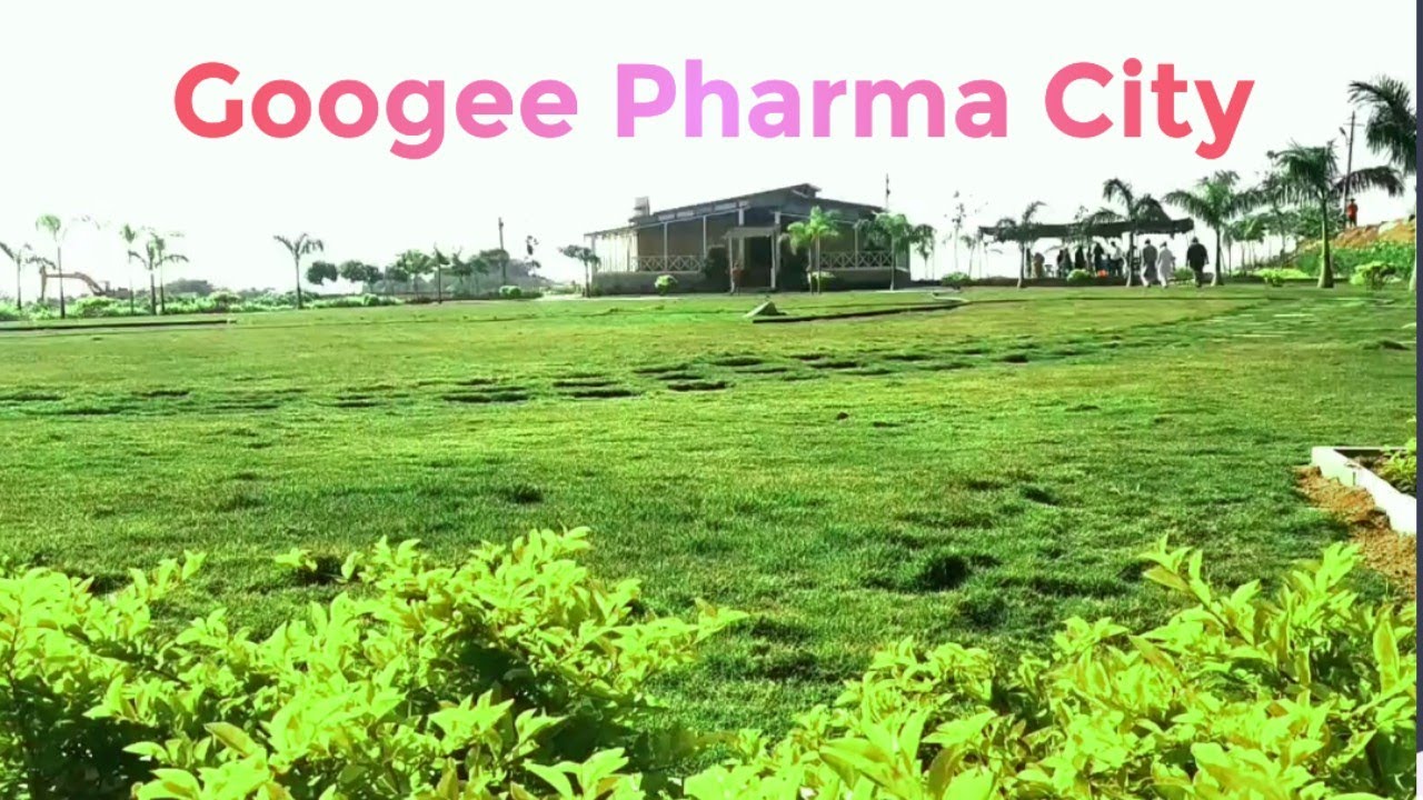 Googee Pharma City Wonderful Wooden House.