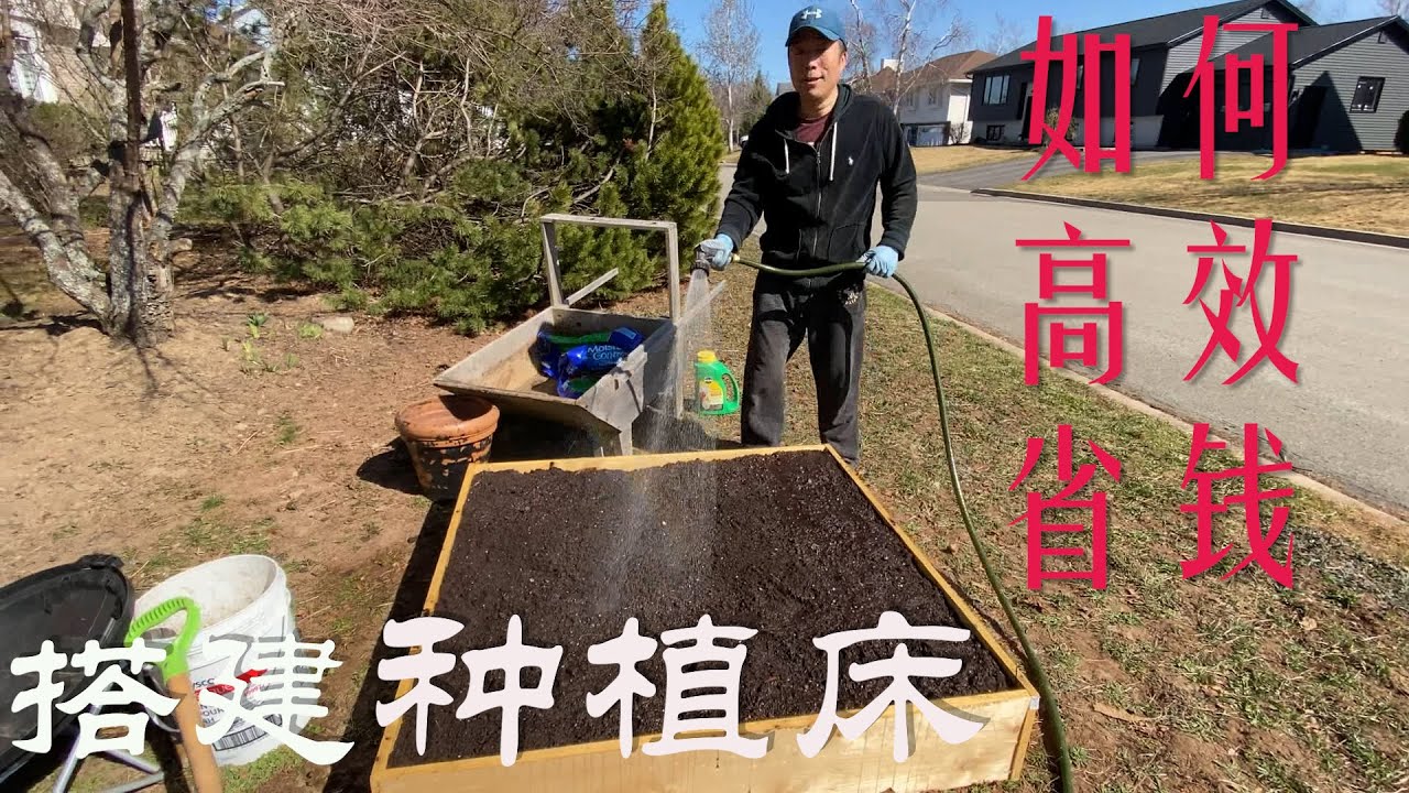 【渔耕笔记】搭种植床  菜园菜地设计 后院种菜
