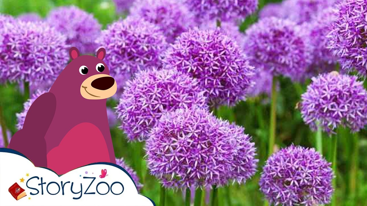 Zierlauch 🌸 | StoryZoo Abenteuer im Blumenpark 💐 | Lehrvideos für Kinder | #storyzoo