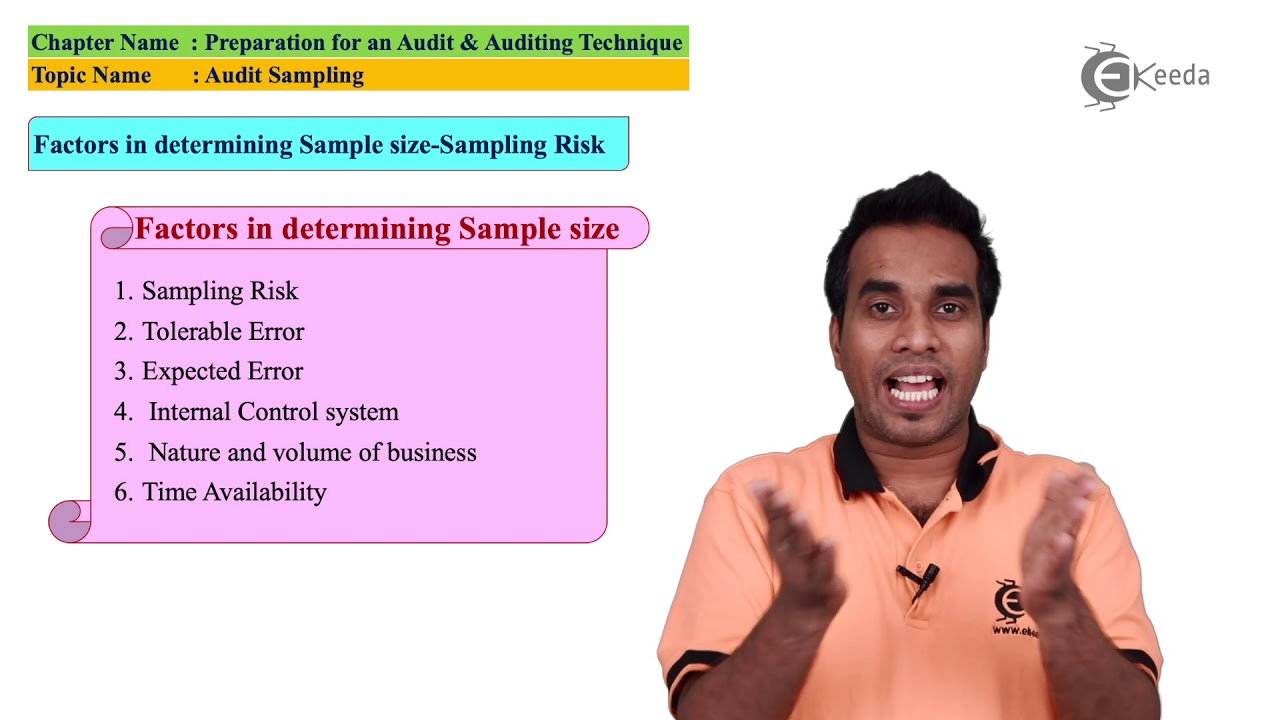 Audit Sampling - Preparation for an Audit & Auditing Technique - Auditing and Assurance