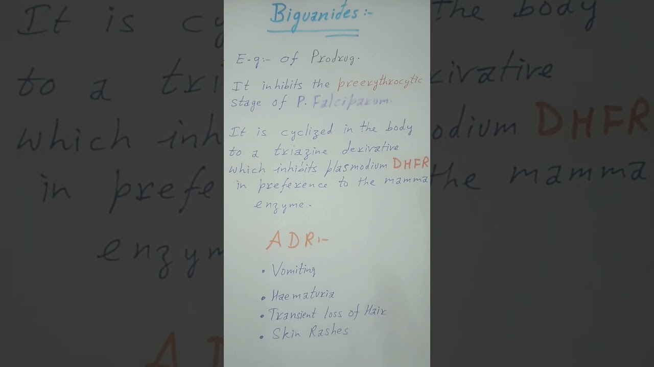 Biguanides || Anti-Malarial Drug || 6th Sem || B. Pharmacy