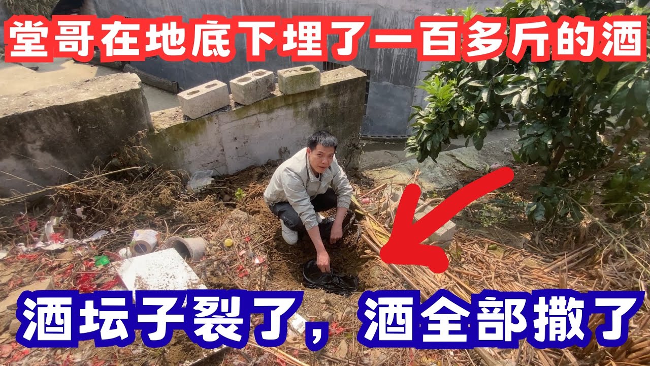 过年那段时间繁琐事实在太多了，到处都是吃不完的酒席，好在过完年村里也没什么酒席了，可以安安心心地做自己的事情了，堂哥前两年把酒埋在地底下，结果酒坛子裂了，损失了一百多斤的酒，实在太可惜了！