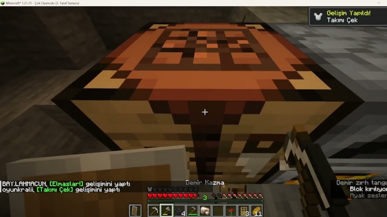 minecraft smp . arkadaşlarımla