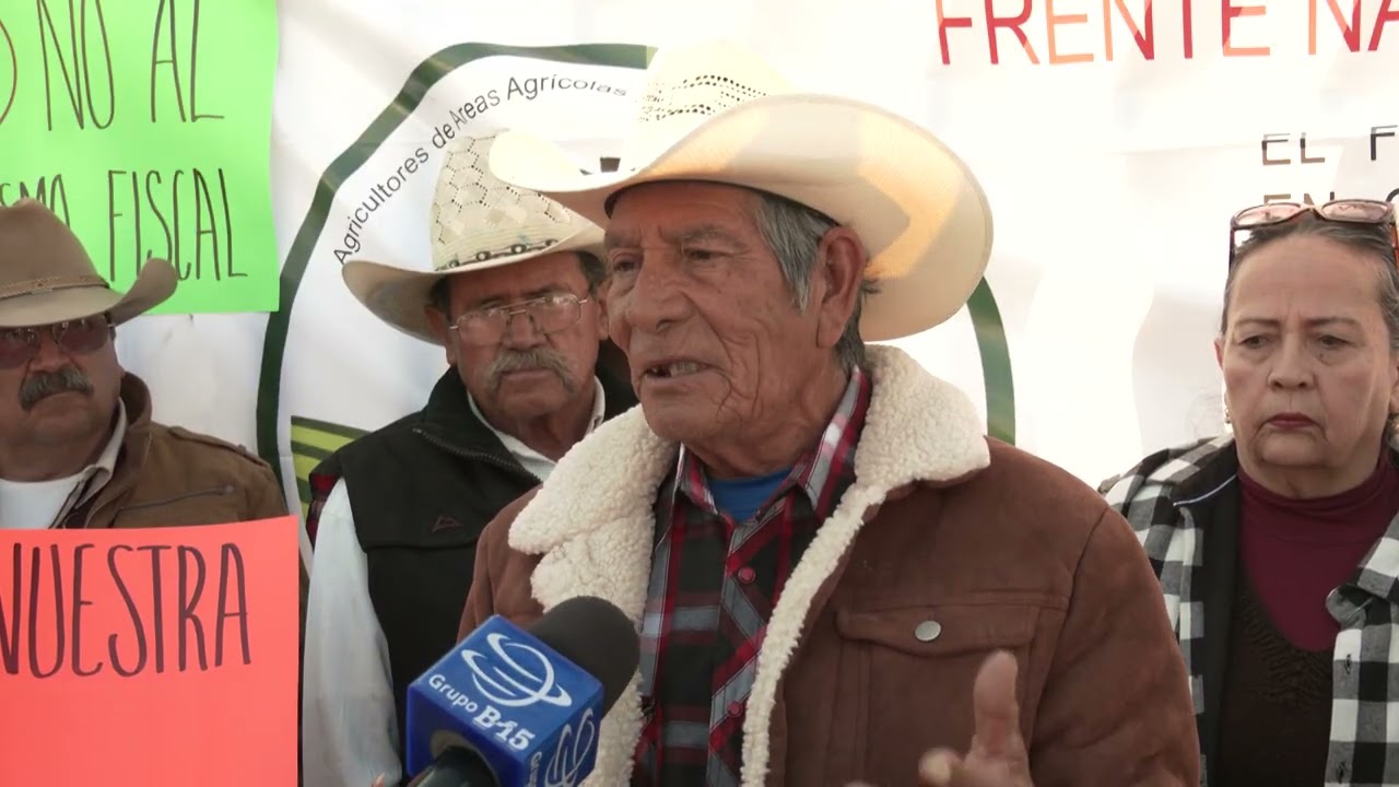Ponen candados en los centros de acopio de frijol, no reciben a todos, hay preferencias