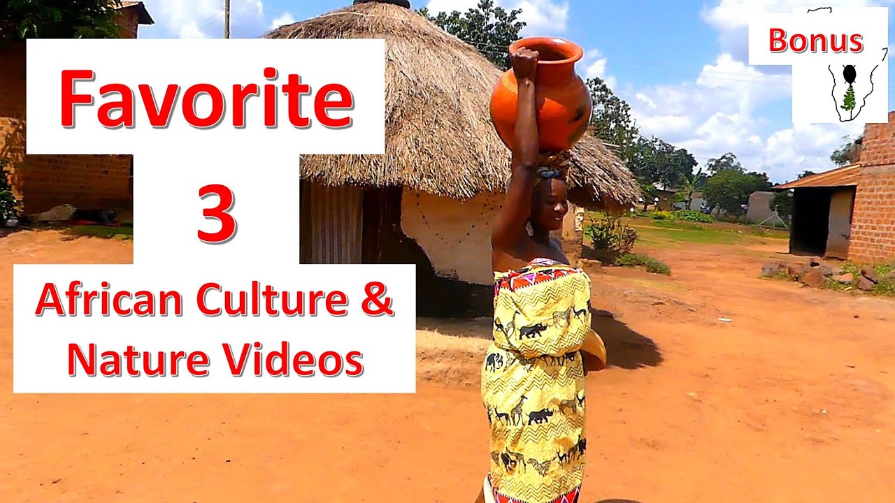Top 3 Favorite African Culture & Nature Videos Bonus 1