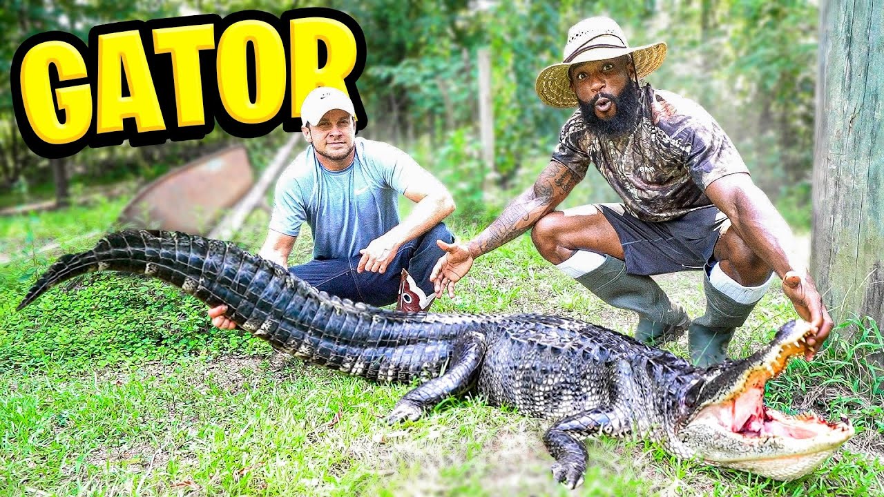 Catch & Cook GIANT ALLIGATORS In The Swamp!