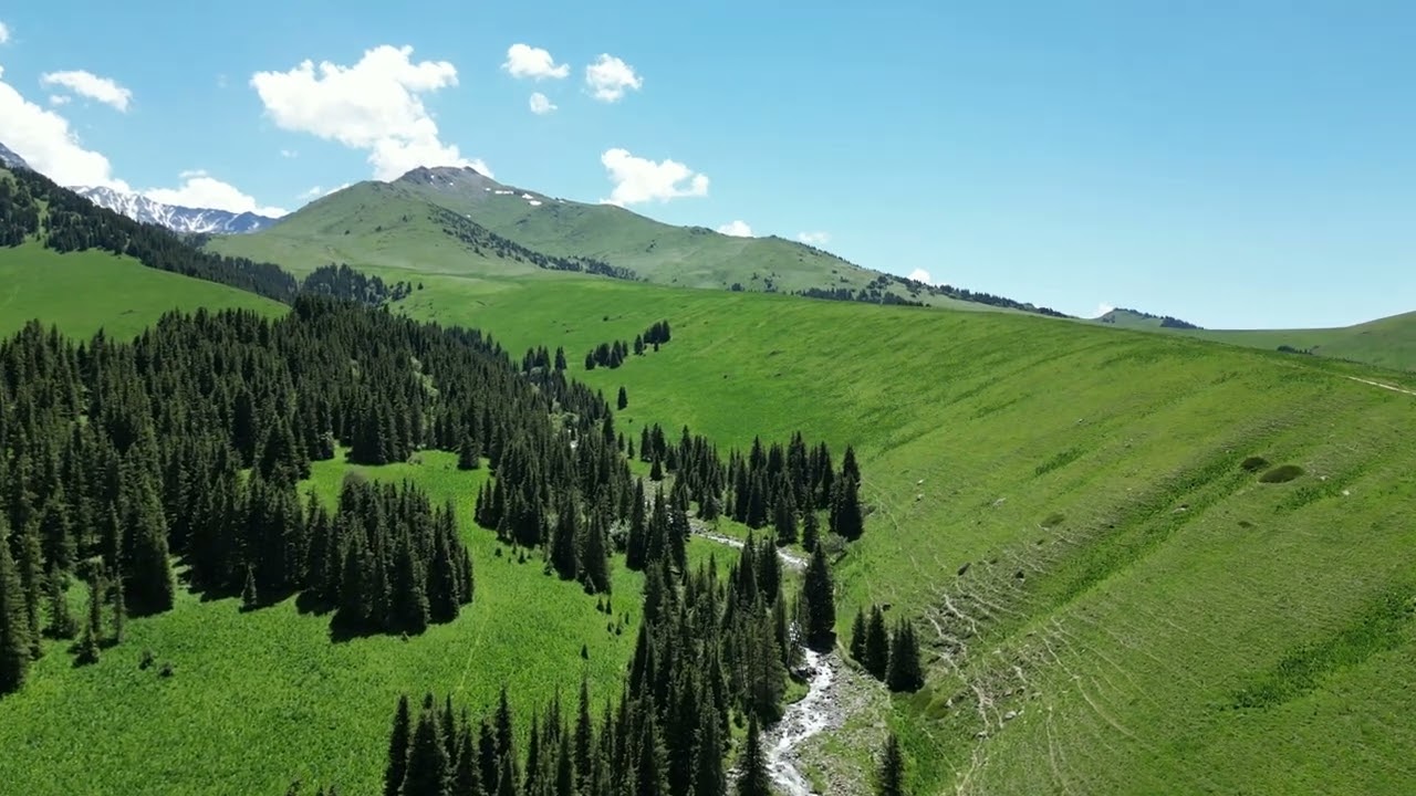 4K: Naryn. 