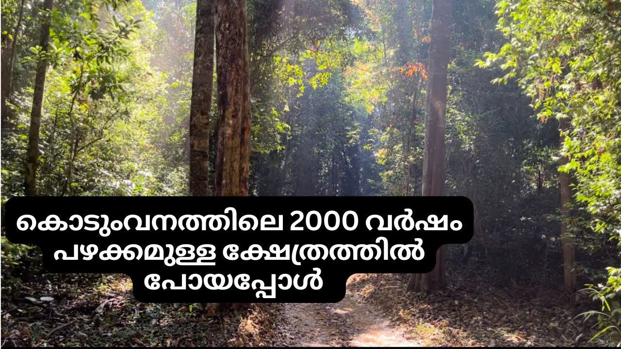 Aluvamkudi Mahadeva Temple #lordshiva#foresttemple