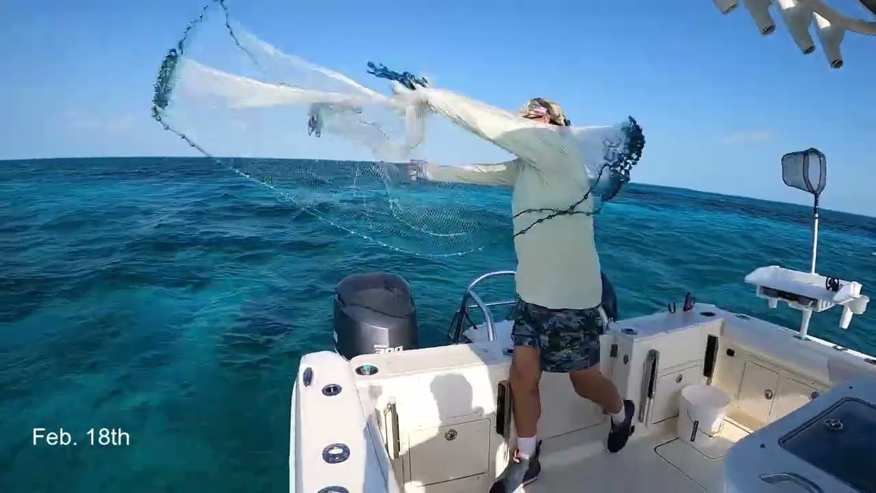 Islamorada February 2026 Lady Bridge Fishing