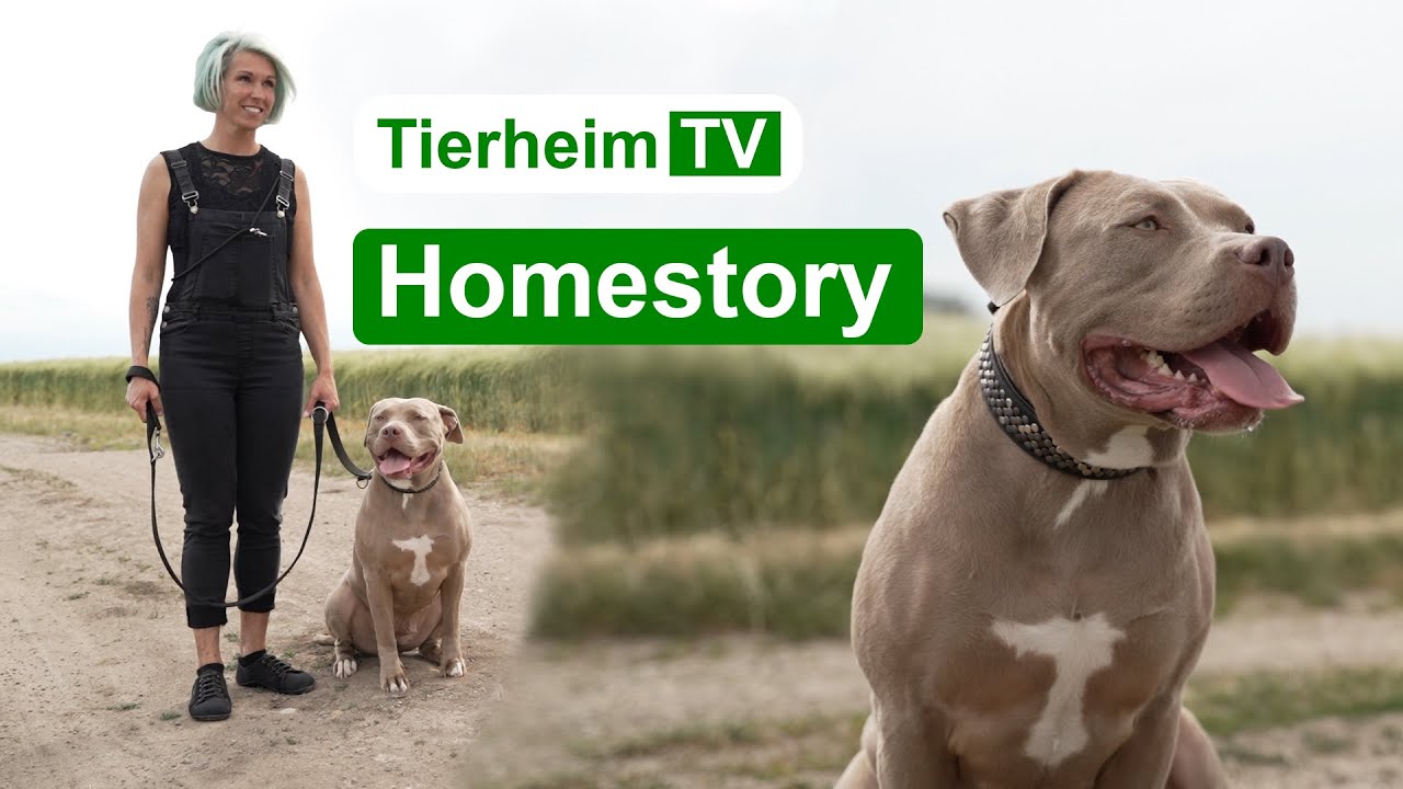 Happy End für Bree | TierheimTV Hannover