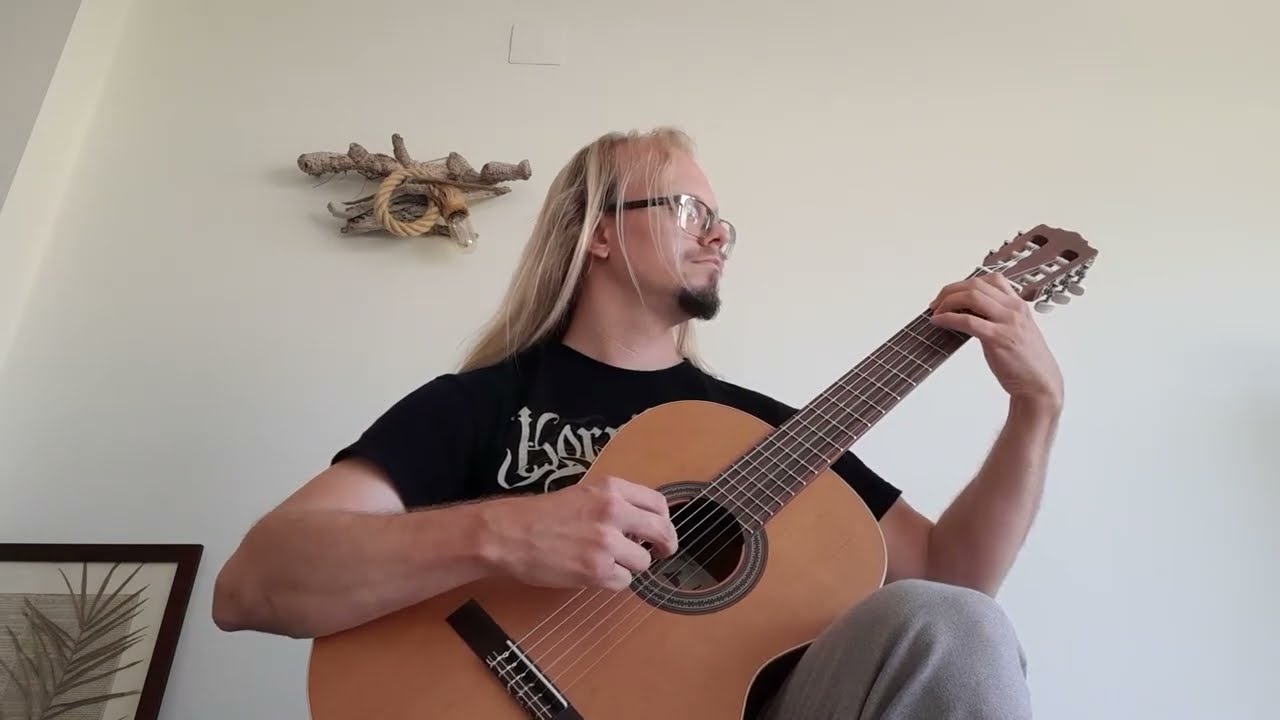 Ulver - Høyfjeldsbilde (guitar cover)