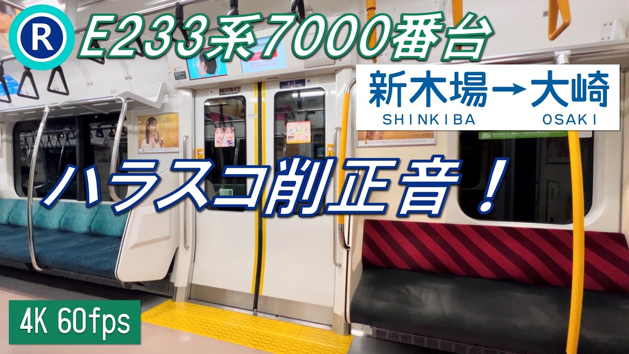 【地下区間を爆走！ハラスコ削正音！】りんかい線 E233系7000番台 新木場〜大崎【高音質・4K 60fps】