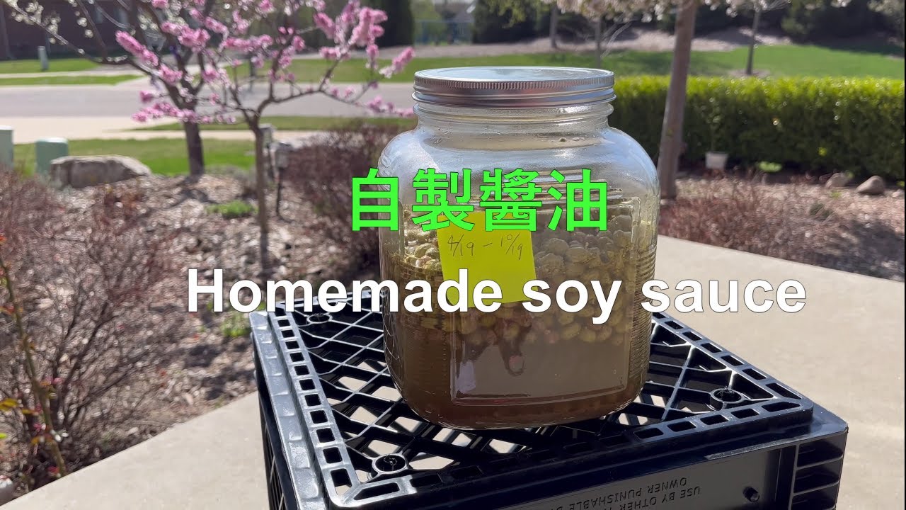 自製醬油 Homemade Soy Sauce