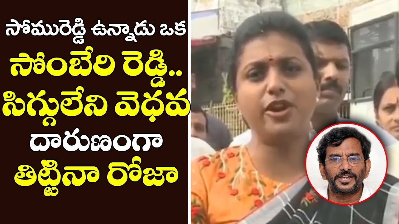 YSRCP MLA Roja Fires on Minister Somireddy Chandramohan Reddy | Attack on YS Jagan Case | TT