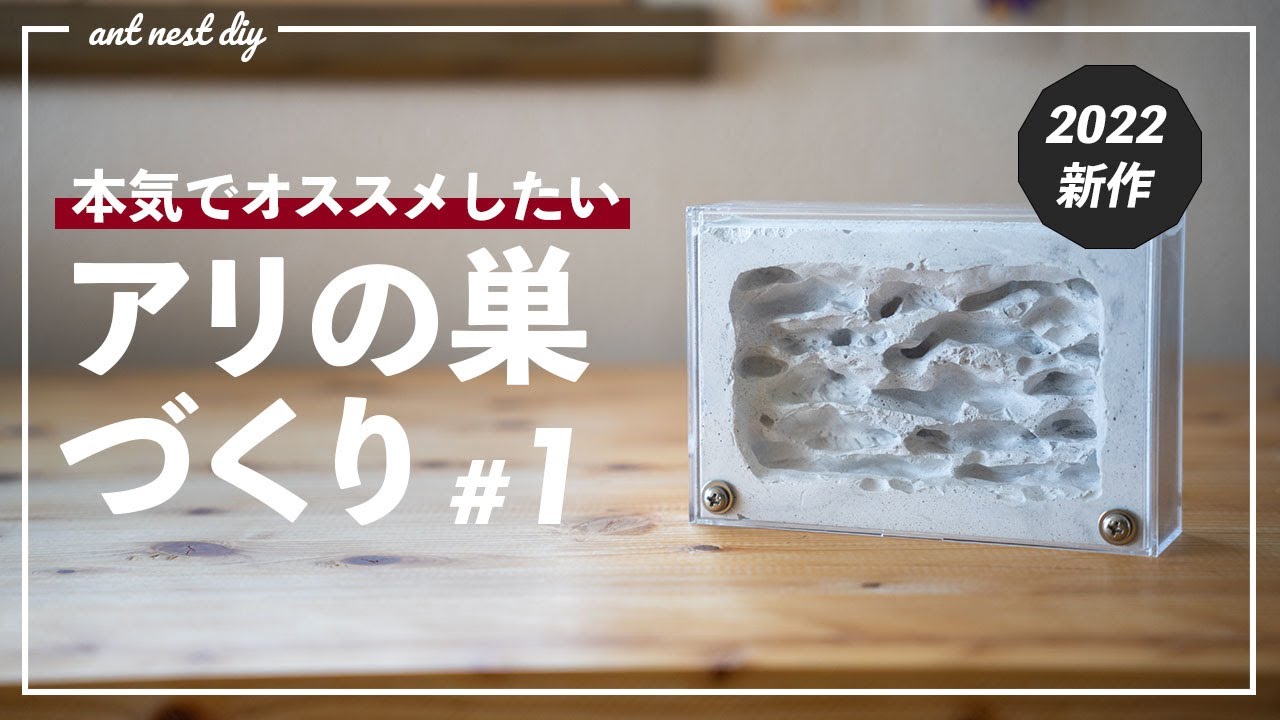 【アリ飼育】奥行きのあるアリの巣の作り方#1【2022新作自作石膏巣】