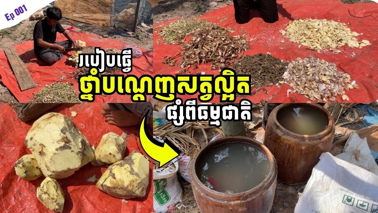 វិធីសាស្ត្រផលិតថ្នាំបណ្តេញសត្វល្អតិផ្សំពីធម្មជាតិ 