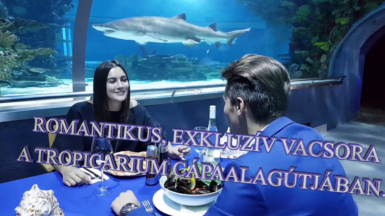 Romantikus alagútvacsora a Tropicarium cápaalagútjában
