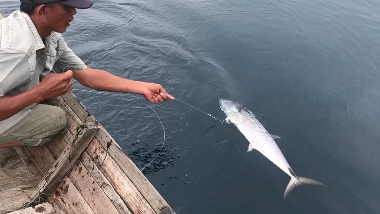Mancing ikan tenggiri