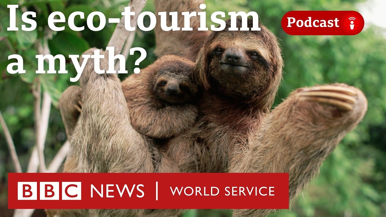 Can tourism ever really help the environment? - The Climate Question podcast, BBC World Service