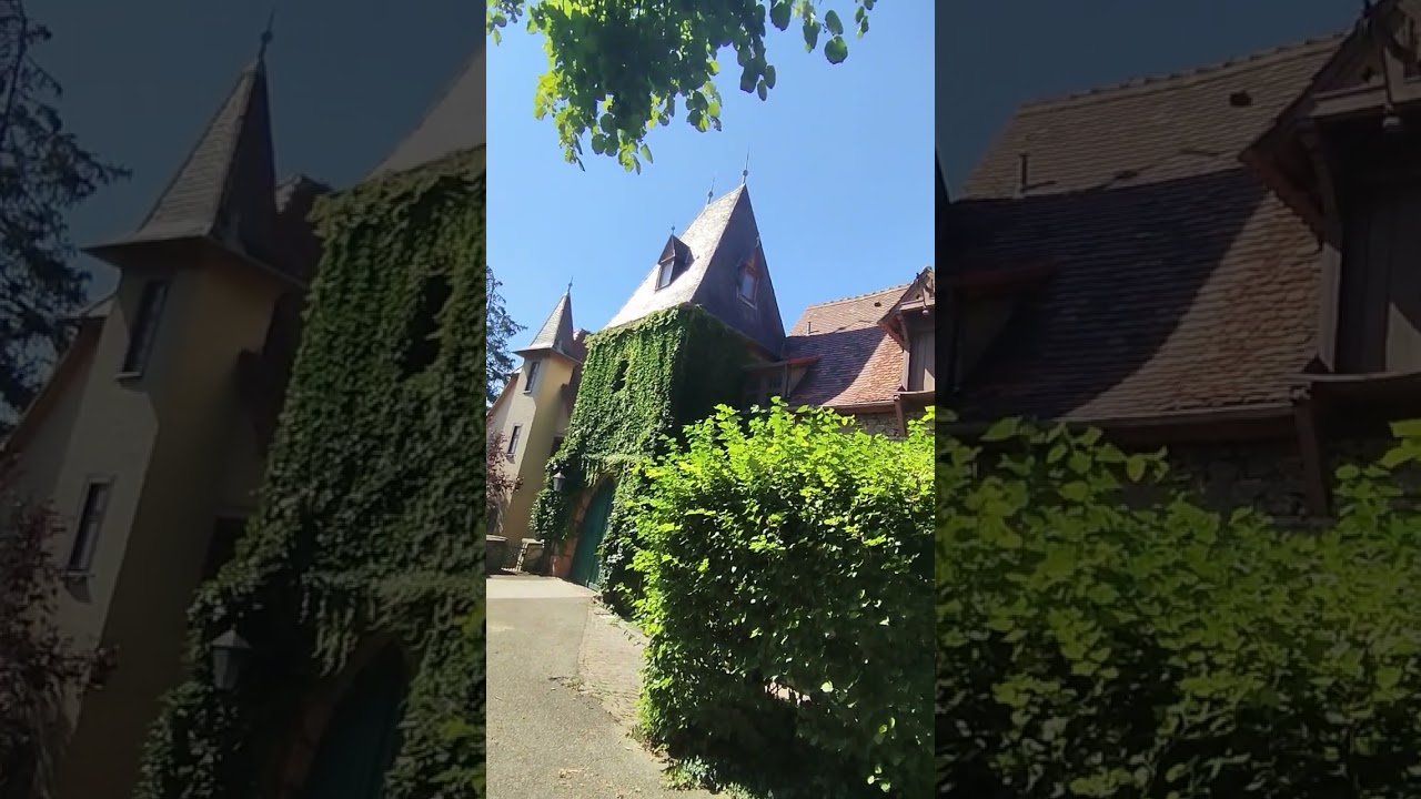 Walking around Germany. Grombach Castle. State of Baden-W&uuml;rttemberg. #germancity #summer #travel