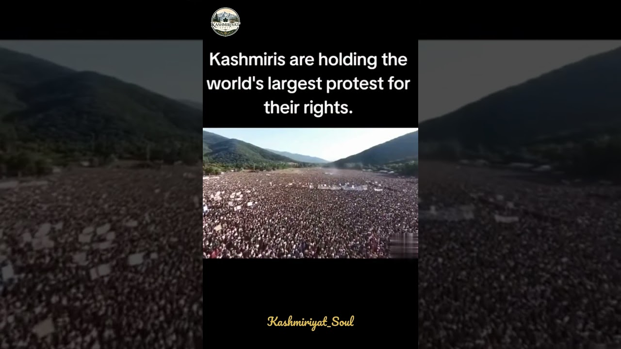 Protests in Pakistan-administered Jammu & Kashmir: What the Reports Say