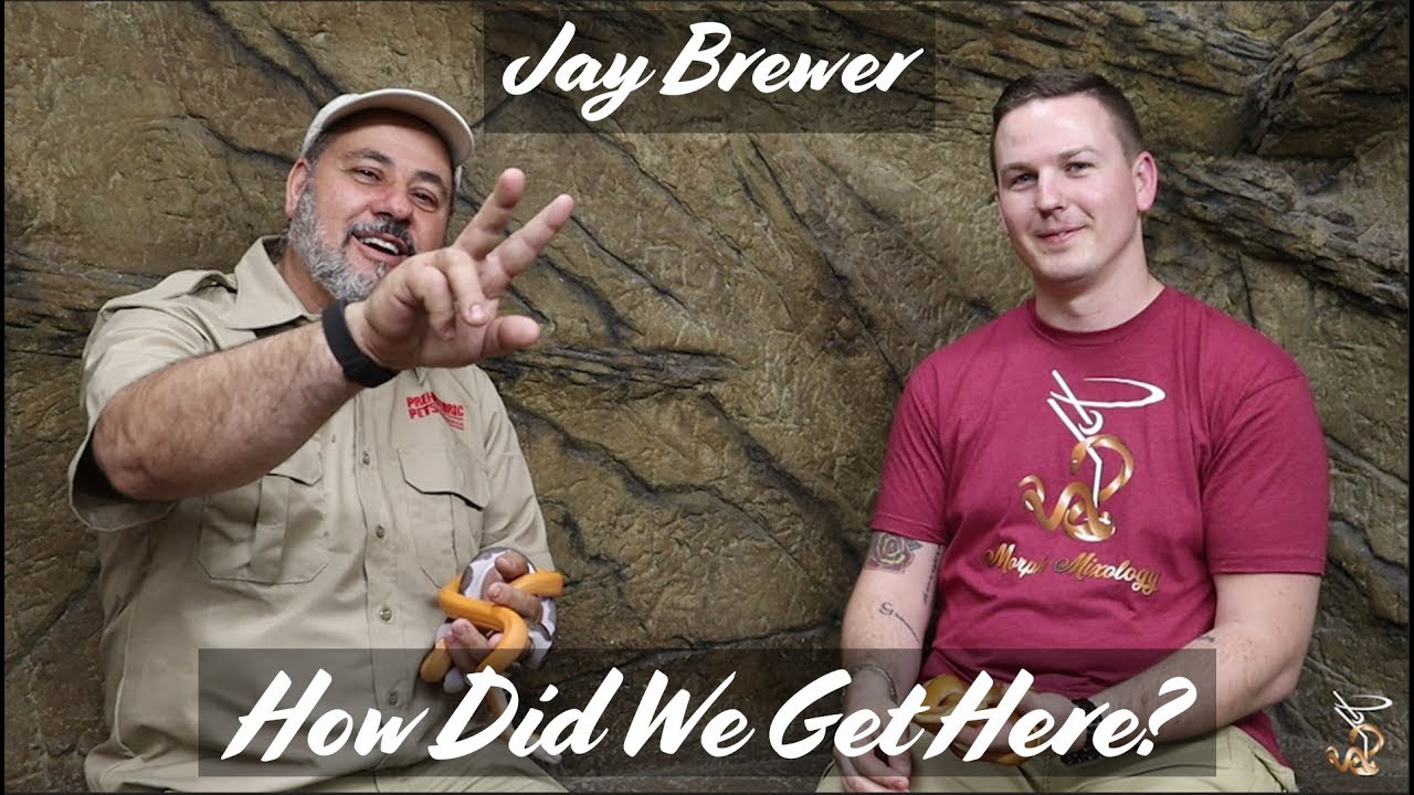 Jay Brewer | How Did We Get Here #2