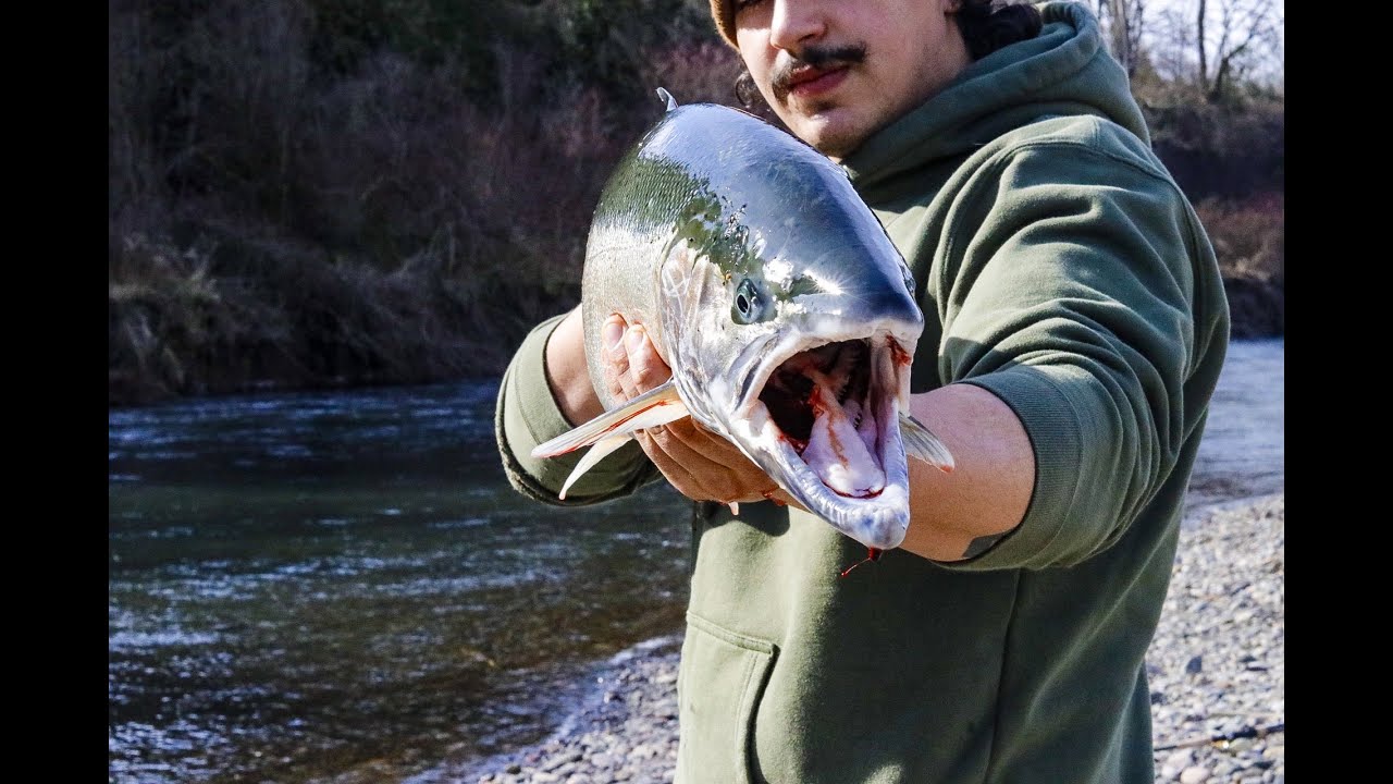 - WILD WINTER HEN - winter steelhead fishing western Washington