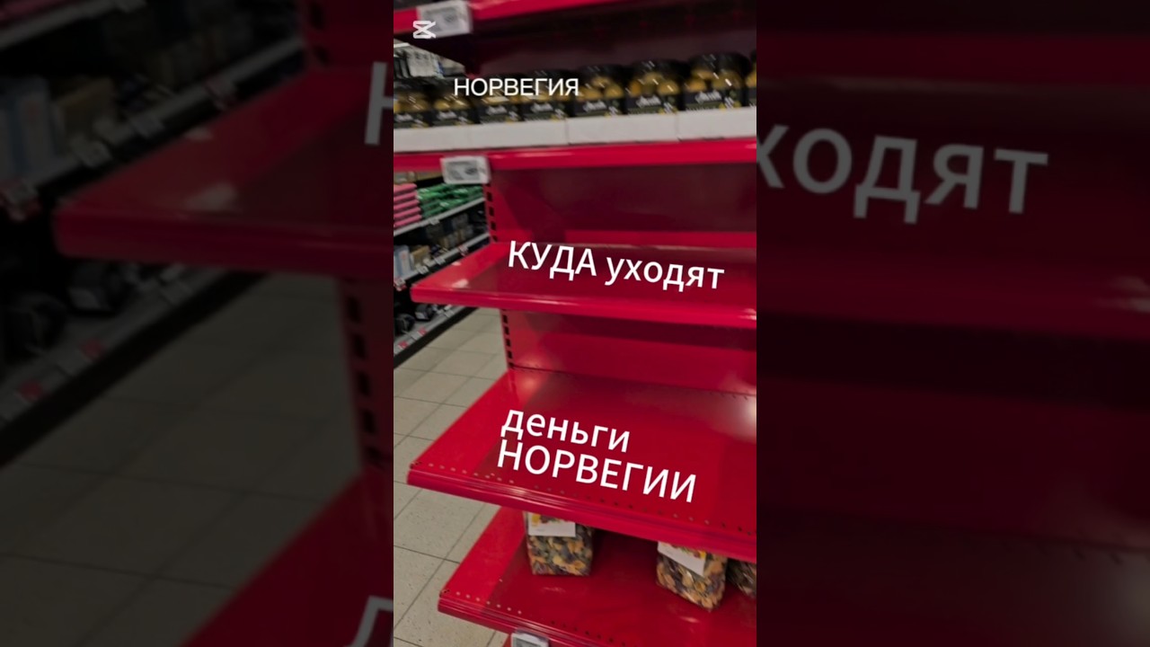 Почему пустеют полуи магазинов? Куда и кому уходят деньги Норвегии?