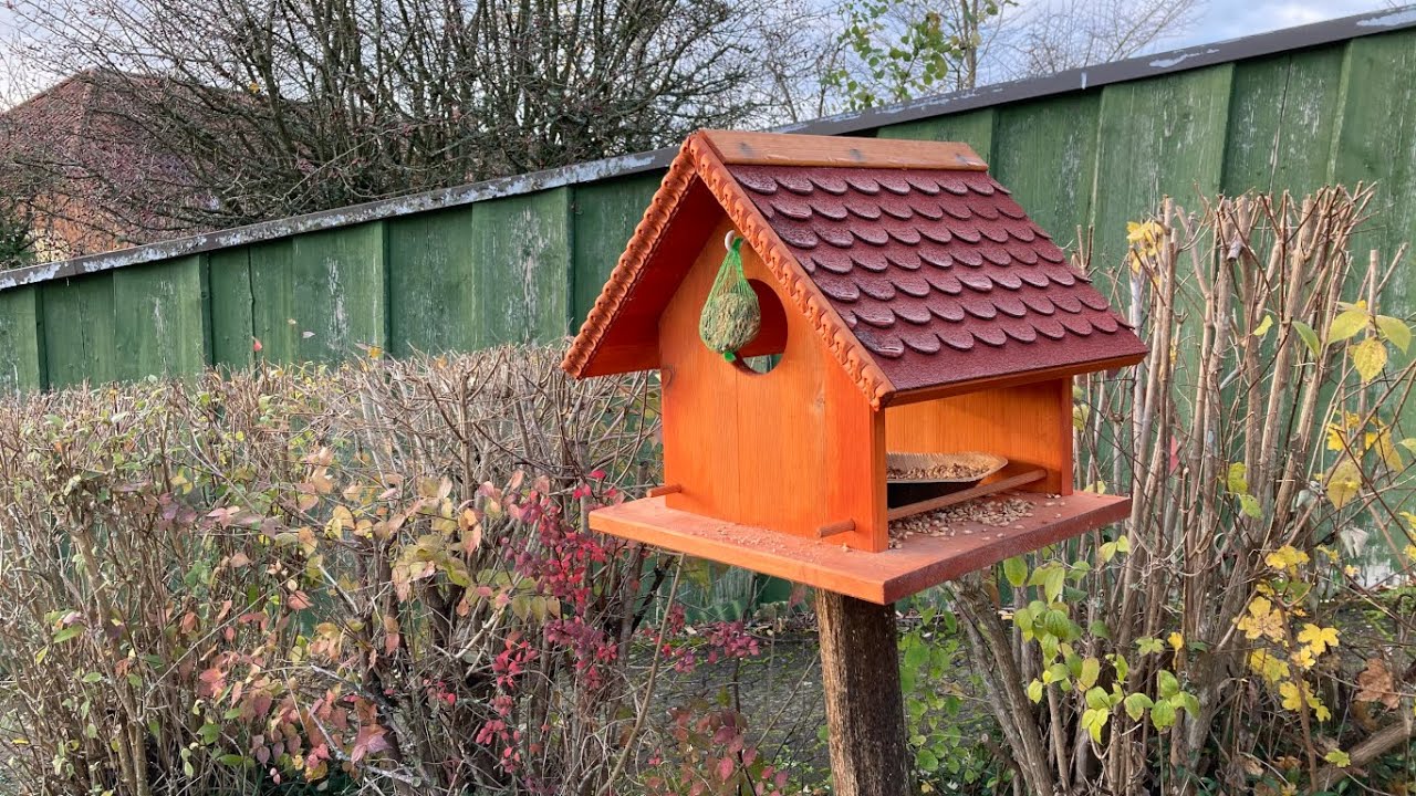 Vogelhaus bauen! - In wenigen Schritten zum eigenen Vogelhaus