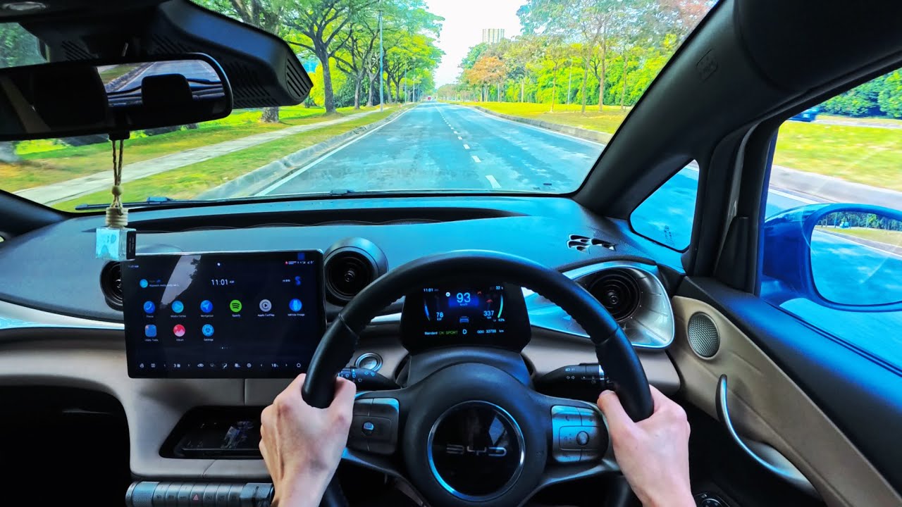 [POV] BYD Dolphin Standard