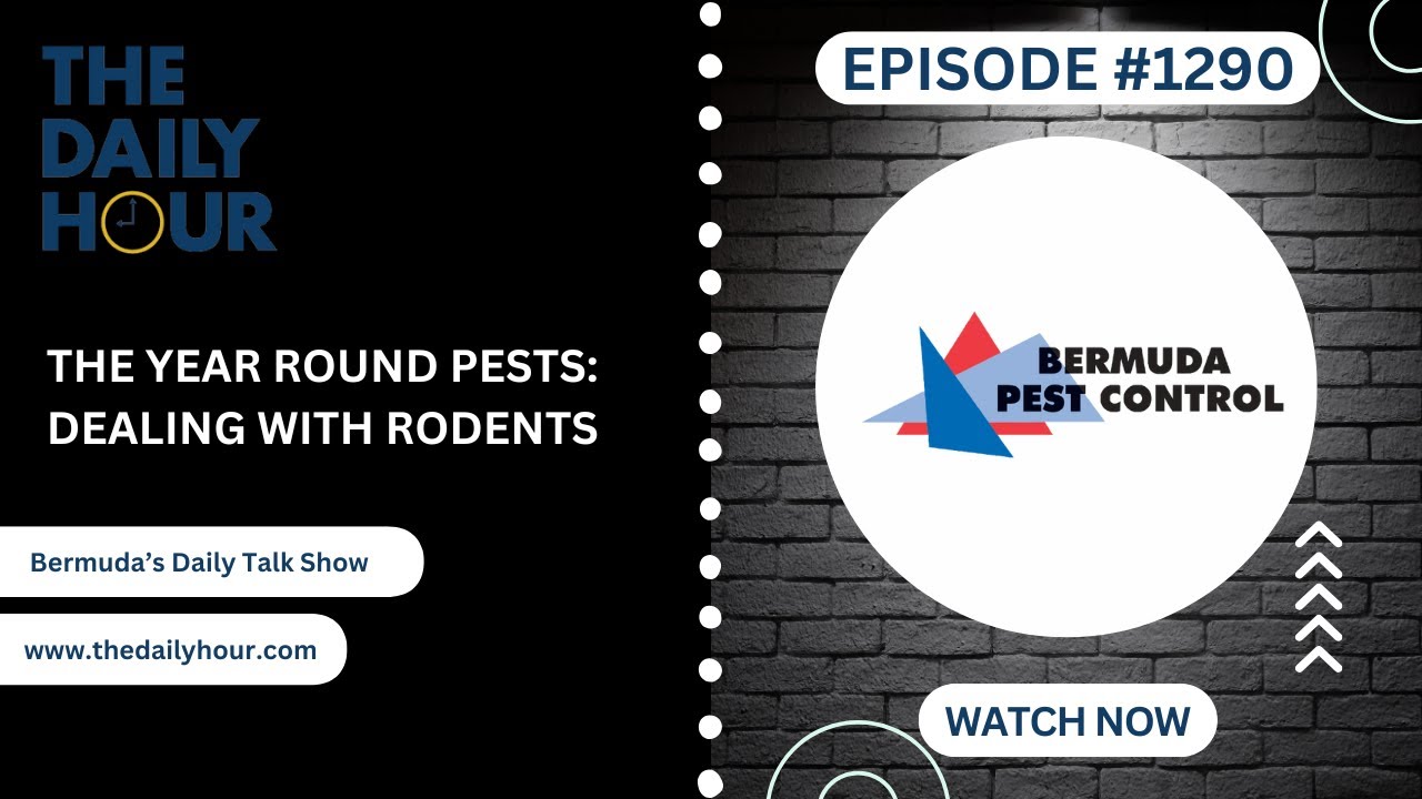 The Daily Hour (Episode 1290) Year Round Pests in Bermuda