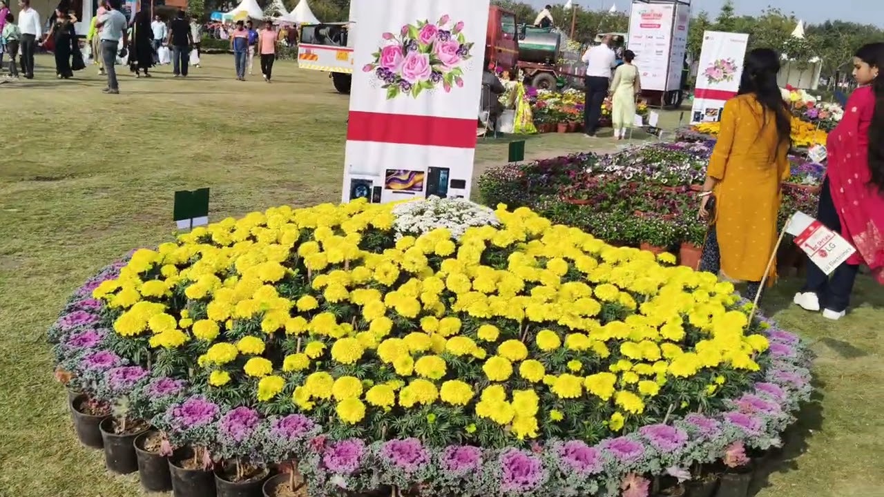 Part 2 Noida Sector 33a Basant Utsav Kedarnath Temple 30 feet high made of bamboo and flowers show